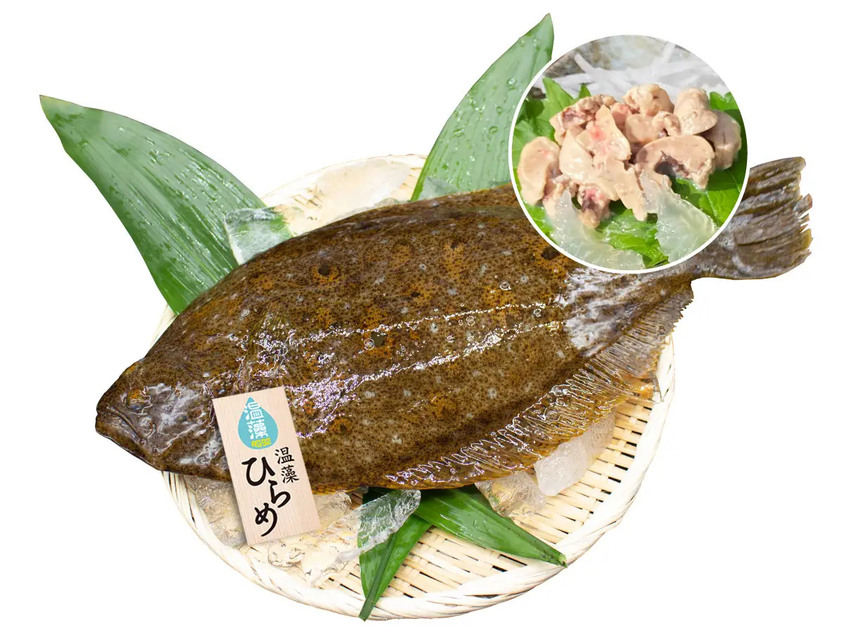 温泉に潜む藻のエキス技術が魚の養殖に寄与。技術を支える微生物
